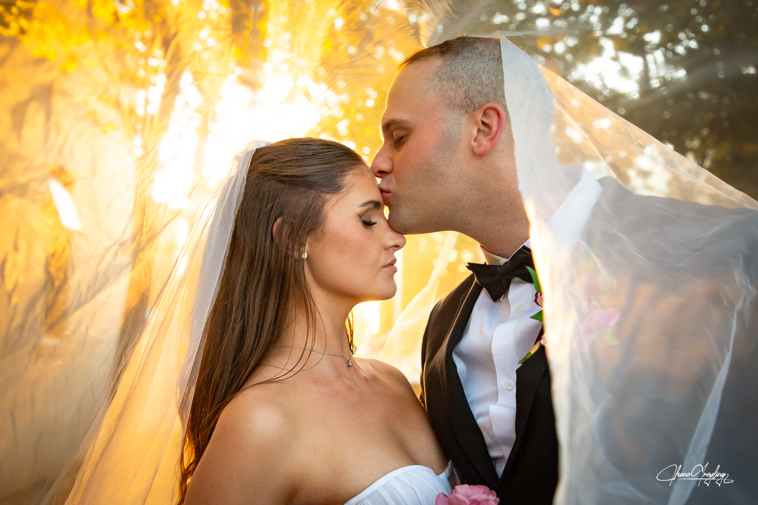 Couple kiss under veil